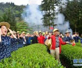 武夷山：生态茶园 祭茶喊山